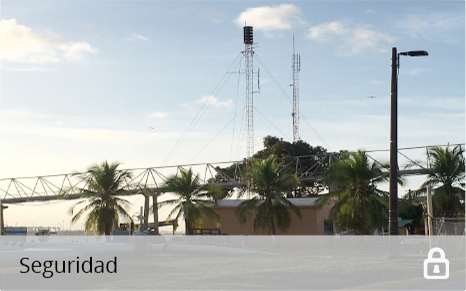 Seguridad HSS